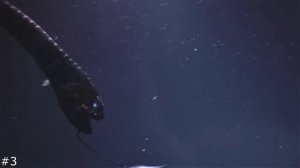 Страшные и уродливые рыбы океана