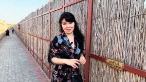 Заповедник фламинго в Дубае. Куда пойти в Дубае.