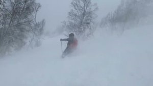Приисковый количество снега в ноябре