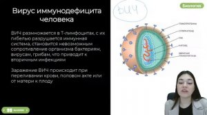 ВИРУСЫ НА ЕГЭ | БИОЛОГИЯ 10 КЛАСС | 99 БАЛЛОВ