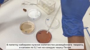 Санитарно-микробиологические исследования пищевых продуктов