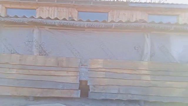 Один день из жизни конюшни 😁 | Видео Дневник - 8 января смотреть онлайн