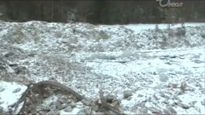 «Сланцевский цементный завод «ЦЕСЛА» выполняет проект ликвидации карьера Печурки