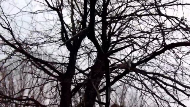 SONY DSC-H300 HD - DUMINICA IN PARC MONUMENT, BRAILA - TEST VIDEO смотреть онлайн