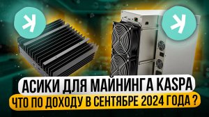 КАК ИЗМЕНИЛАСЬ ДОХОДНОСТЬ НА KASPA АСИКАХ В СЕНТЯБРЕ 2024 ГОДА