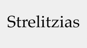 How to Pronounce Strelitzias