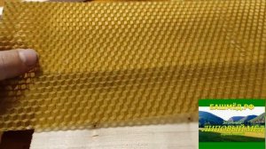 Использование трутневой вощины в магазинных рамках 1 часть.