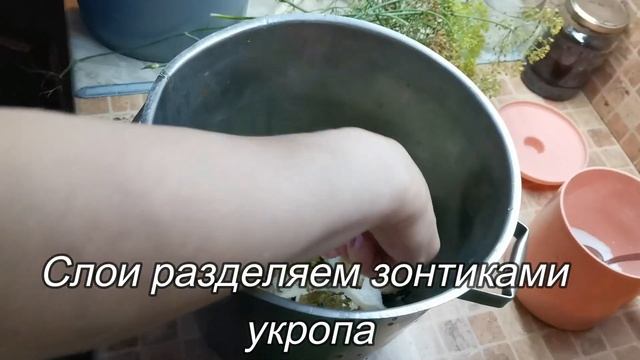 СОЛЕНЫЕ КУЛАЧКИ Рецепт. Как солить грибы. Простой рецепт соленых кулачков. смотреть онлайн