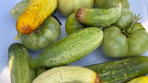 Хафта Беджар Азербайджанская Кухня Деревенская Кухня Рецепты