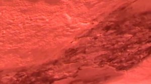 Ремонт теплоизоляции промышленного холодильника