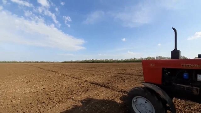 Сев подсолнечника.