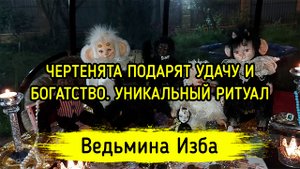 ЧЕРТЕНЯТА ПОДАРЯТ УДАЧУ И БОГАТСТВО. УНИКАЛЬНЫЙ РИТУАЛ. ДЛЯ ВСЕХ. ВЕДЬМИНА ИЗБА ▶️ ИНГА ХОСРОЕВА