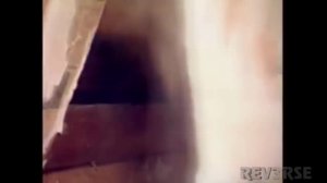 Фазазда 5 или рандомный сас l RYTP