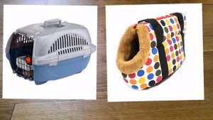 Что нужно для появления щенка в доме? / вещи для щенка