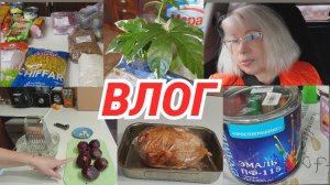 Влог/Поехала на мануальный массаж/Крашу грядки в саду/Готовлю/Купила вот такую красавицу@SubTatiana
