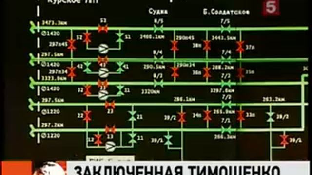 Ukranian Political Jailbird Ex-PM & Gaz Princess Julia Timoshenko смотреть онлайн