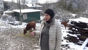 Уникальных гибридов мини-зебу разводят в Краснодарском крае