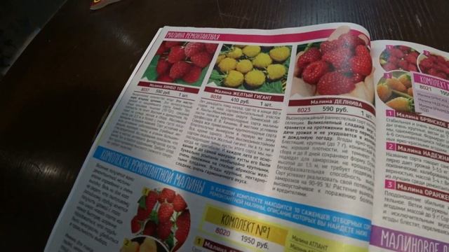 Обзор каталога от "Садов России" на 2023 год. Часть 2 смотреть онлайн