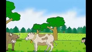 Spotlight 3 p.75 ex.5 DVD