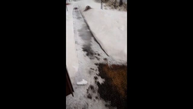 Скремблер из мотоцикла урал. Первый выезд. смотреть онлайн