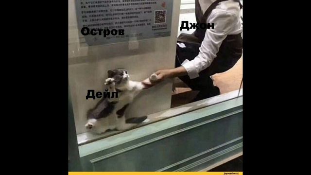 Мемы Линч #3 🔥🔥🔥 смотреть онлайн