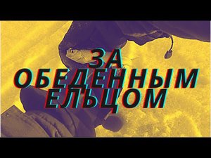 Клюет ли елец в обед? / Томь, елец, мороз и солнце...