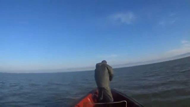 Промысловая рыбалка на Каспийском море  Кизляр, Дагестан! Красивые места 2022