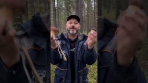 СБОР ГРИБОВ В КАРЕЛИИ 11.09.22 первая серия