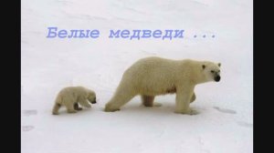 143 Аида Ведищева - Пеcенка о медведях