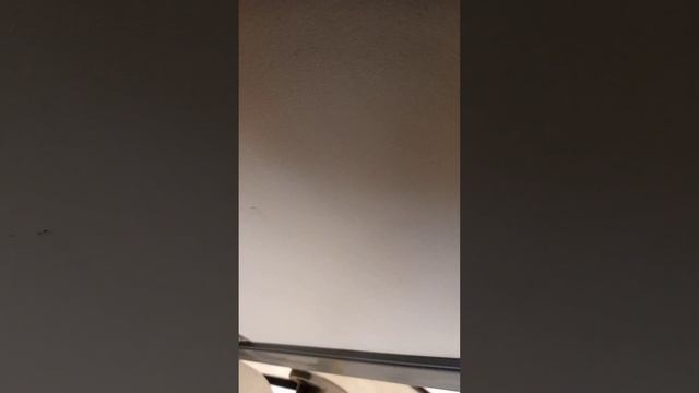 поездка на троллейбусе тролза мегаполис по 44 маршруту Санкт Петербурга смотреть онлайн