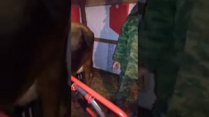 Турецкий доильный аппарат для дома 1 часть.