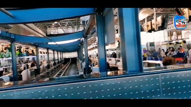 (part 2) Malpensa Airport Entry and Immigration check gates смотреть онлайн