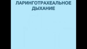 Аускультация легких
