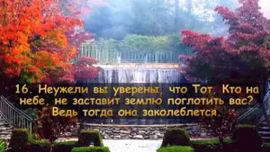 Очень красивое чтение! Сальман аль Утайби аль Мулк