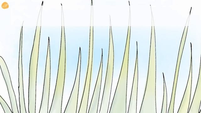 Learn Nature Vocabulary - Nature Vocabulary Phrases 1 - Elf Kids Videos
