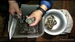 Сахалинские морепродукты. Трубач.