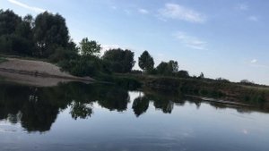 Рыбалка на реке Клязьма 2018 год