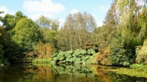 Английский парк и дизайн ландшафта. 9 основных элементов