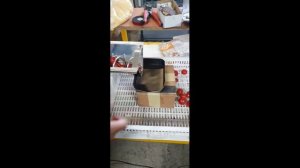 Питатель-дозатор DAN-SP-1 ( для фруктов, овощей, мелкоштучных продуктов)
