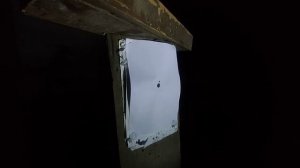 CRICKET 5,5 ночной отстрел на 23 метра кучу.