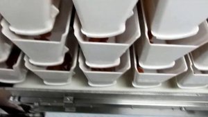 Упаковка липких сухофруктов (курага, чернослив и финики)