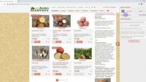 Где купить урожайный семенной картофель: суперэлита, элита, миниклубни, АгроХарвест