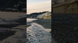 VID20230417184625.mp4
