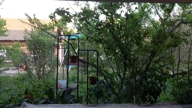 1151. УЖИН НА ТЕРРАСЕ. ОТКРЫЛИ ЛЕТНИЙ СЕЗОН. смотреть онлайн