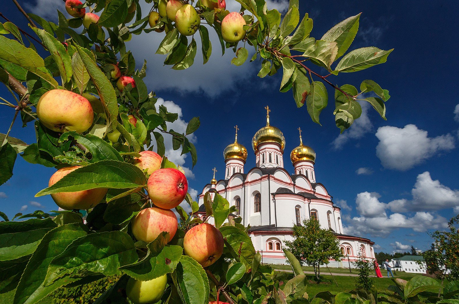 Яблочный спас в церкви