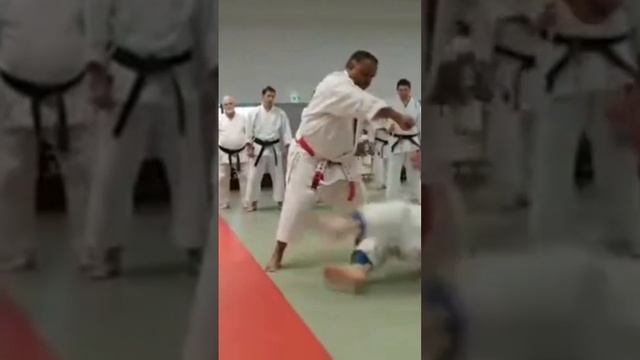 tekki shodan Oyo bunkai...