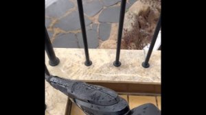 Bosch Advanced Aquatak 160 시연영상