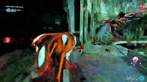 Warframe | Воруна | Играбельный билд даже для СП | № 1