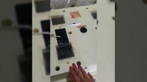 Инкубация перепелиных яиц.  Инкубатор Золушка обзоры