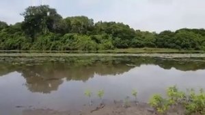 Вот такая рыбалка в Коми!)))